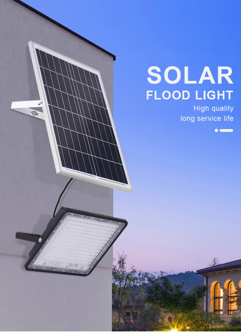 LED Flood Light