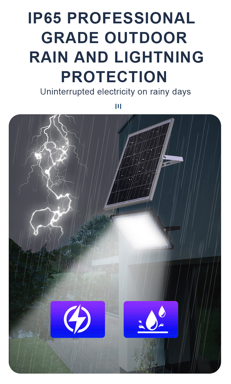 LED Flood Light