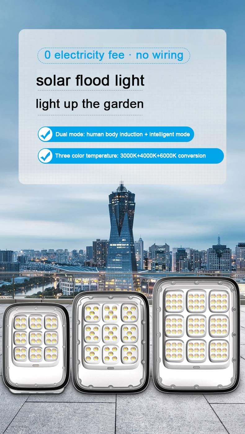 Solar Flood Light 