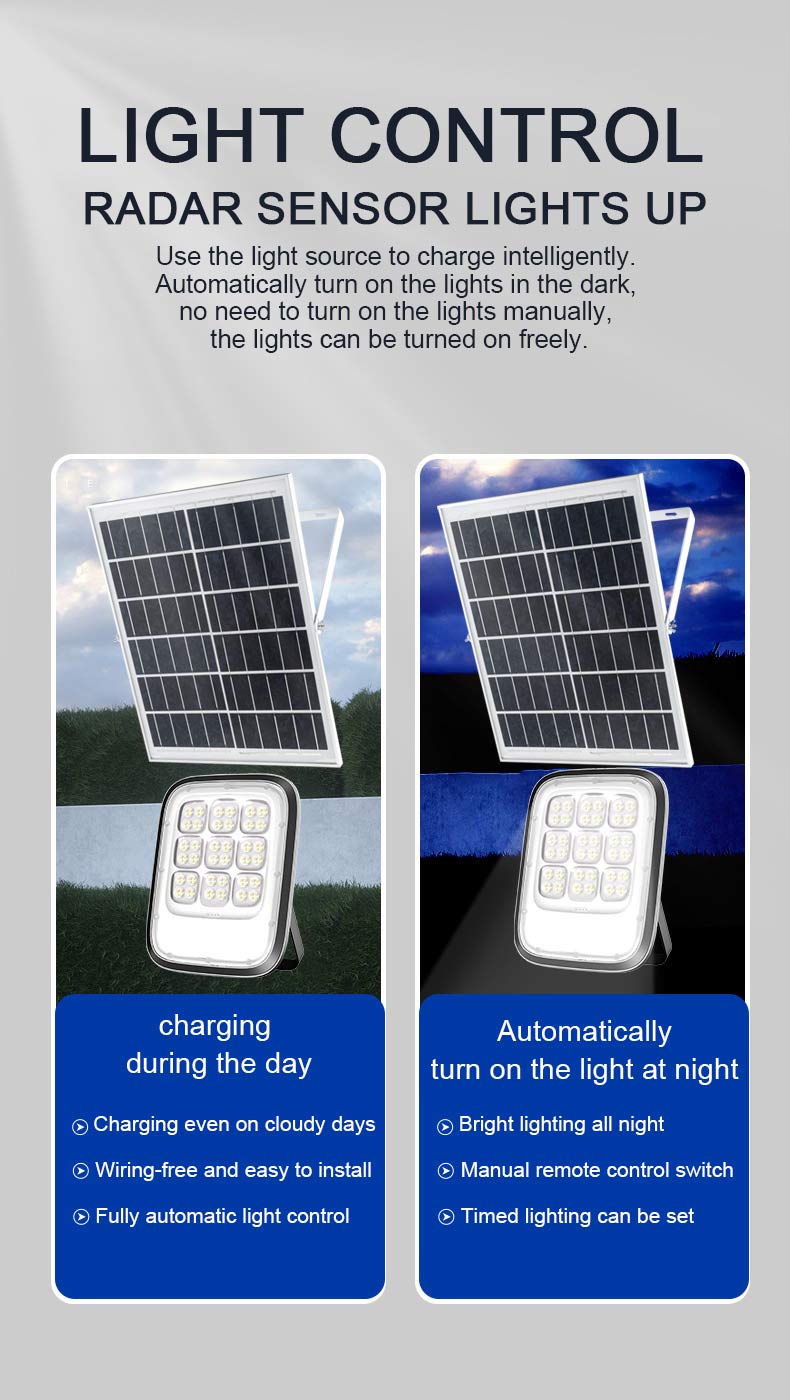 Solar Flood Light 