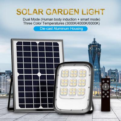 Solar Flood Light